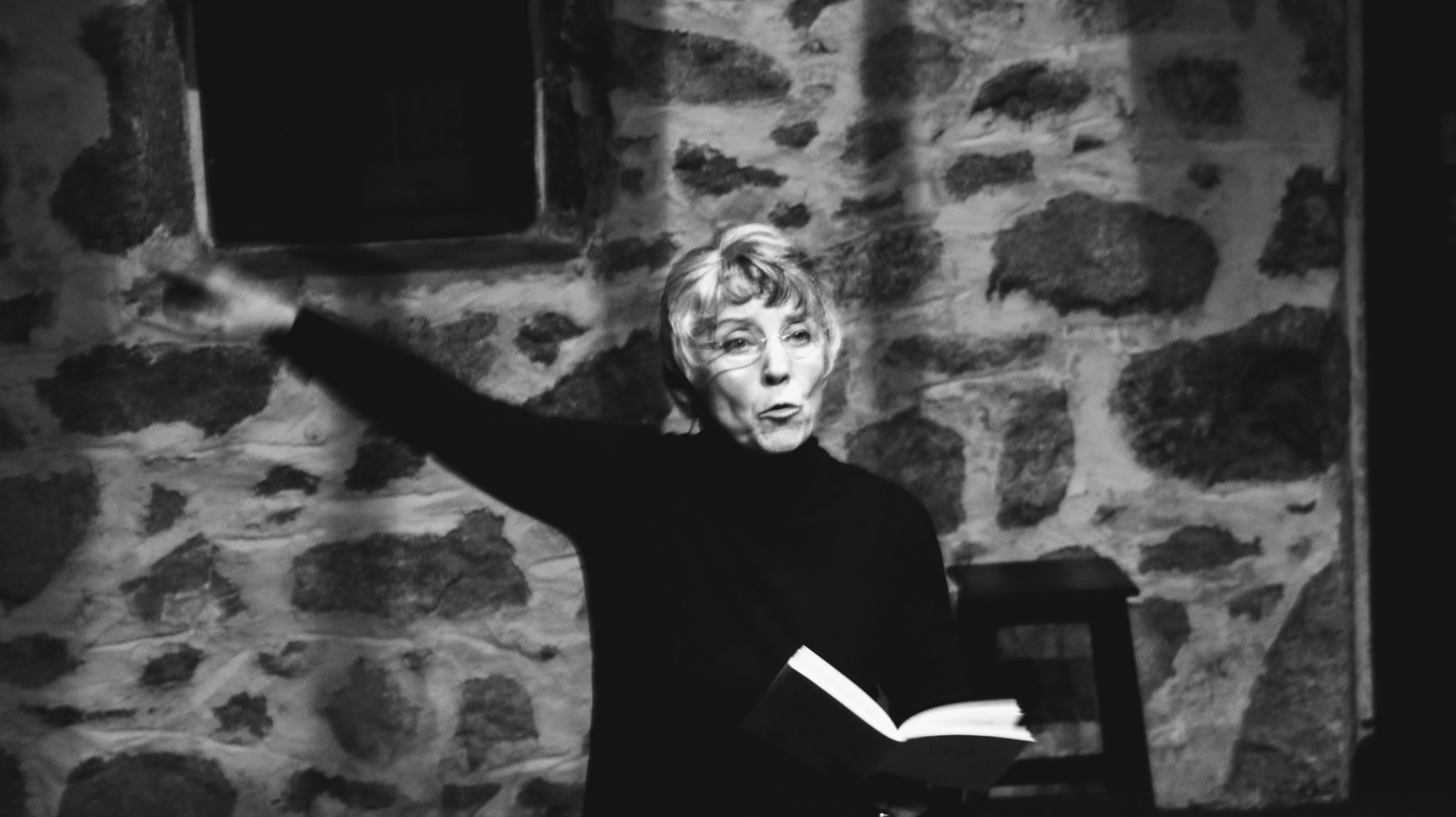 Le Cavalier siamois — Sylvie Peyronnet en scène
