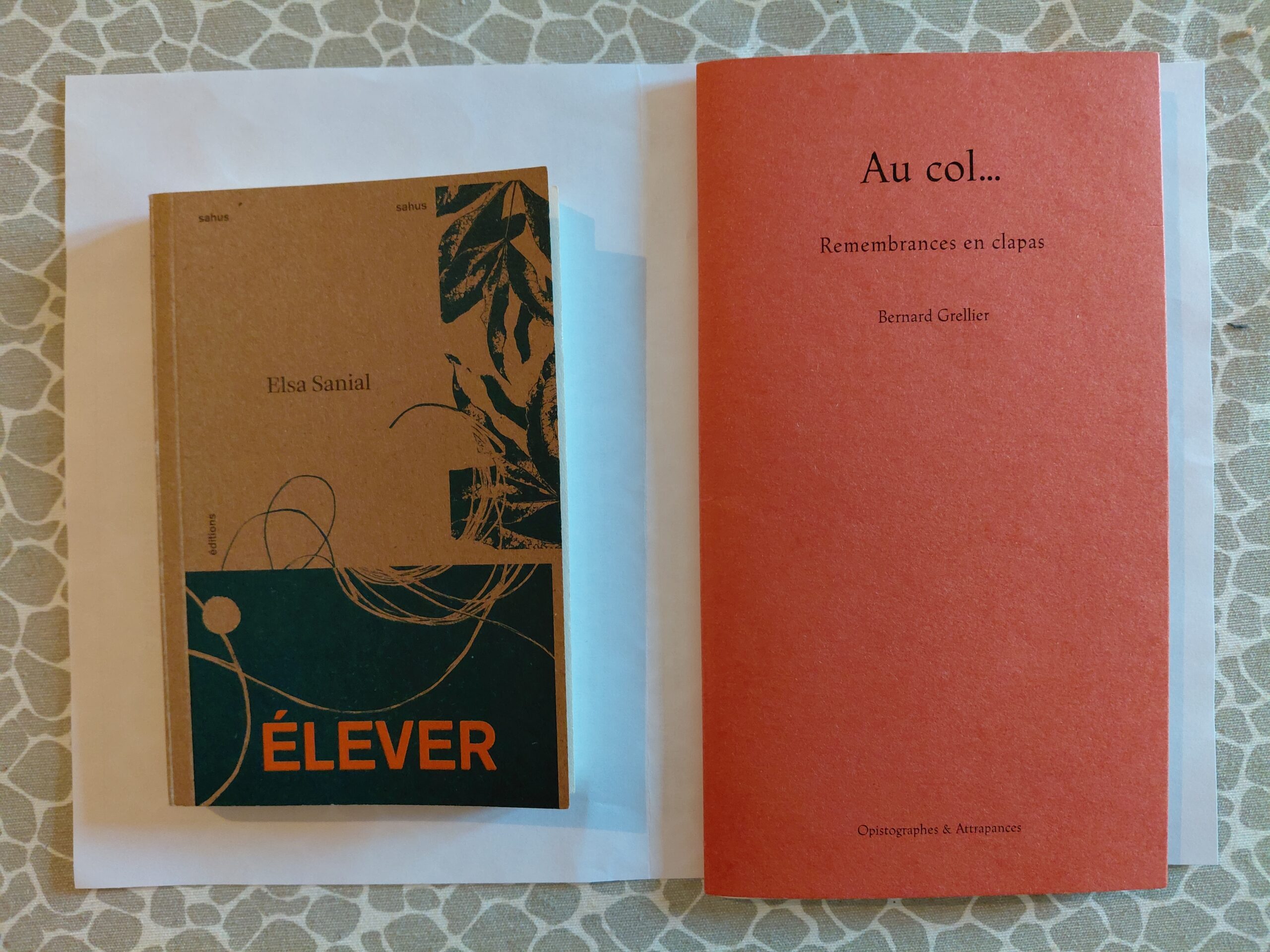 Dans le cadre des « RENCONTRES A LA BASCULE »
